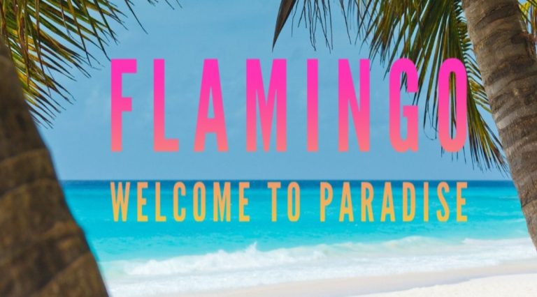 flamingo 768x426