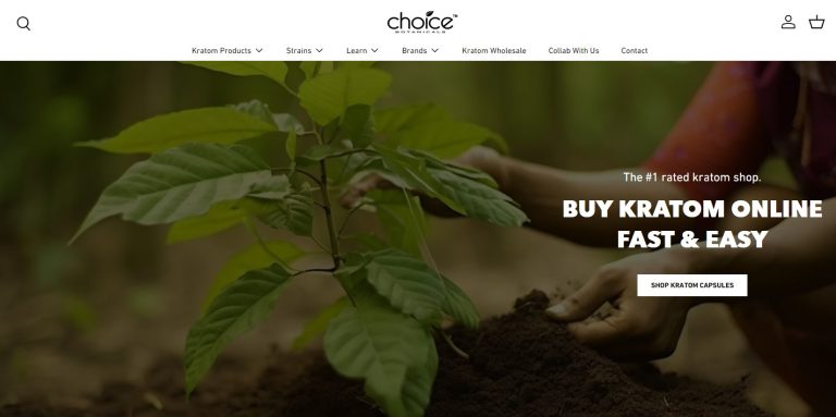 choice 768x383